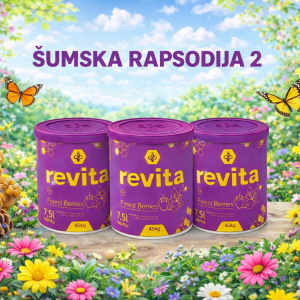 PAKET 6: Šumska rapsodija 2